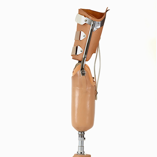 Prosthetic Leg – ProPhysique